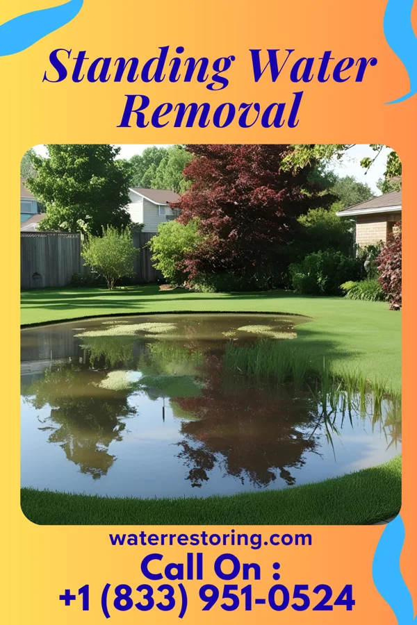 Standing Water Removal in Bear Creek Ranch, TX